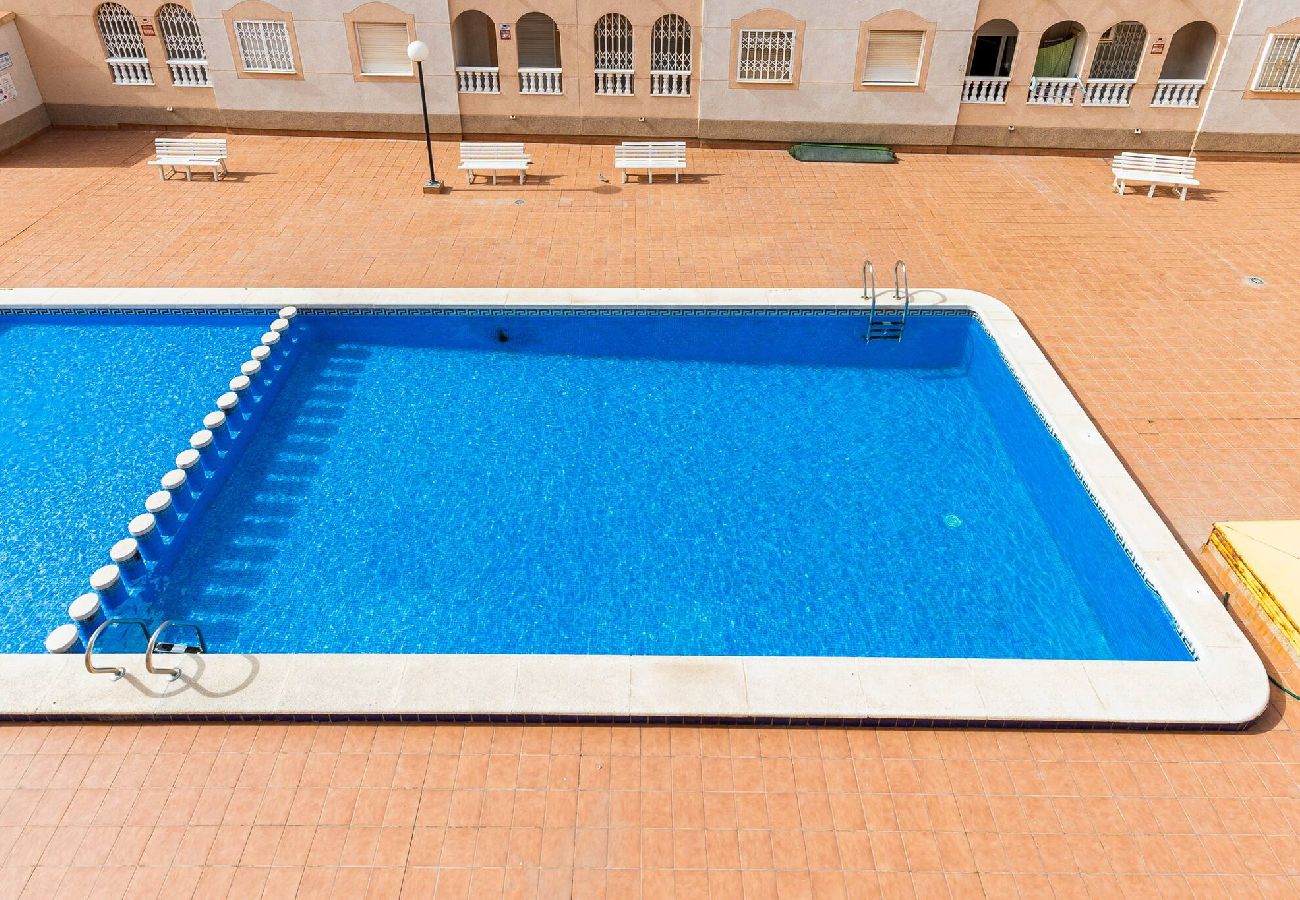 Apartment in Torrevieja - San Pascual 235A