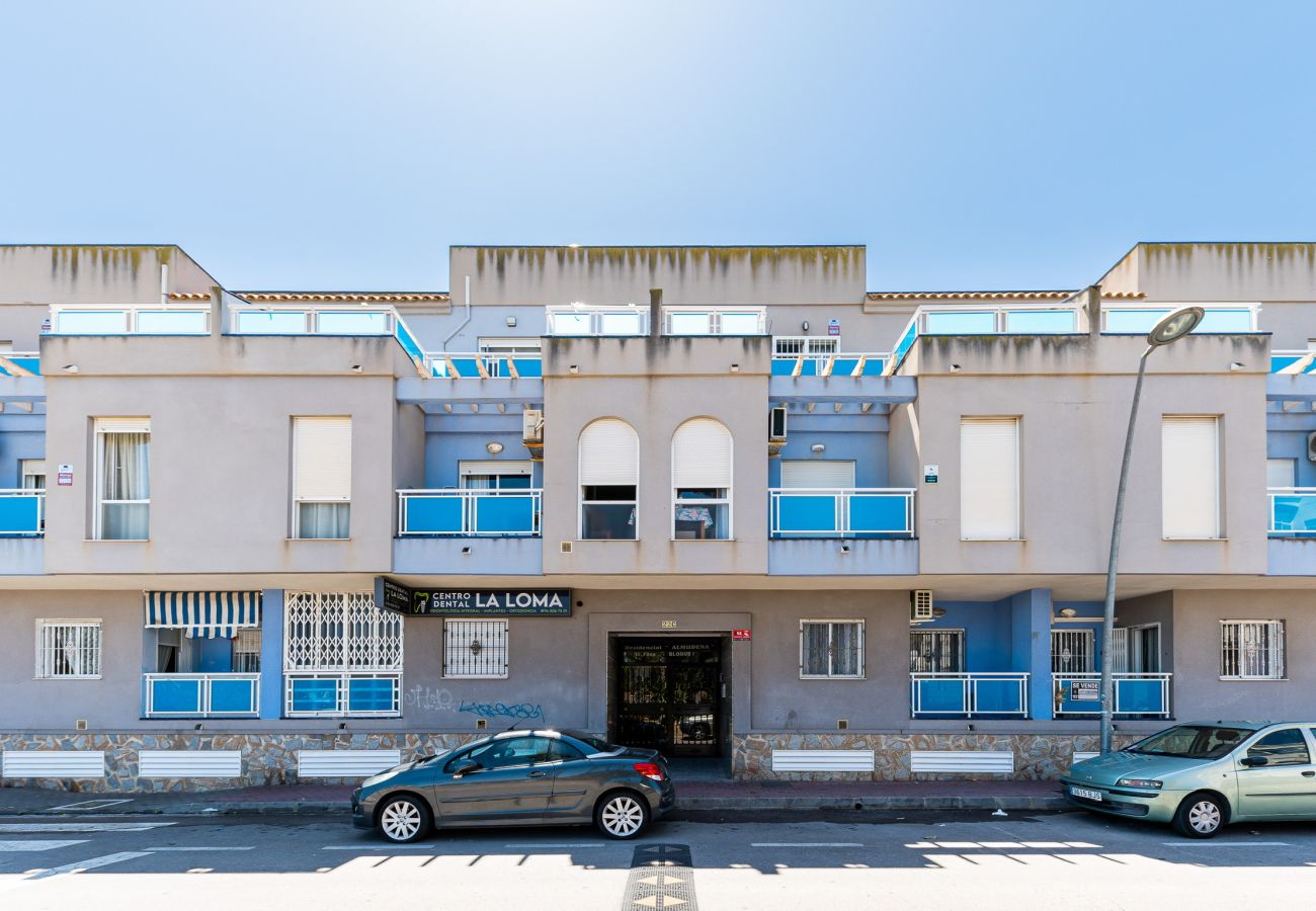 Apartment in Torrevieja - Calera Sunrise - Apartamento