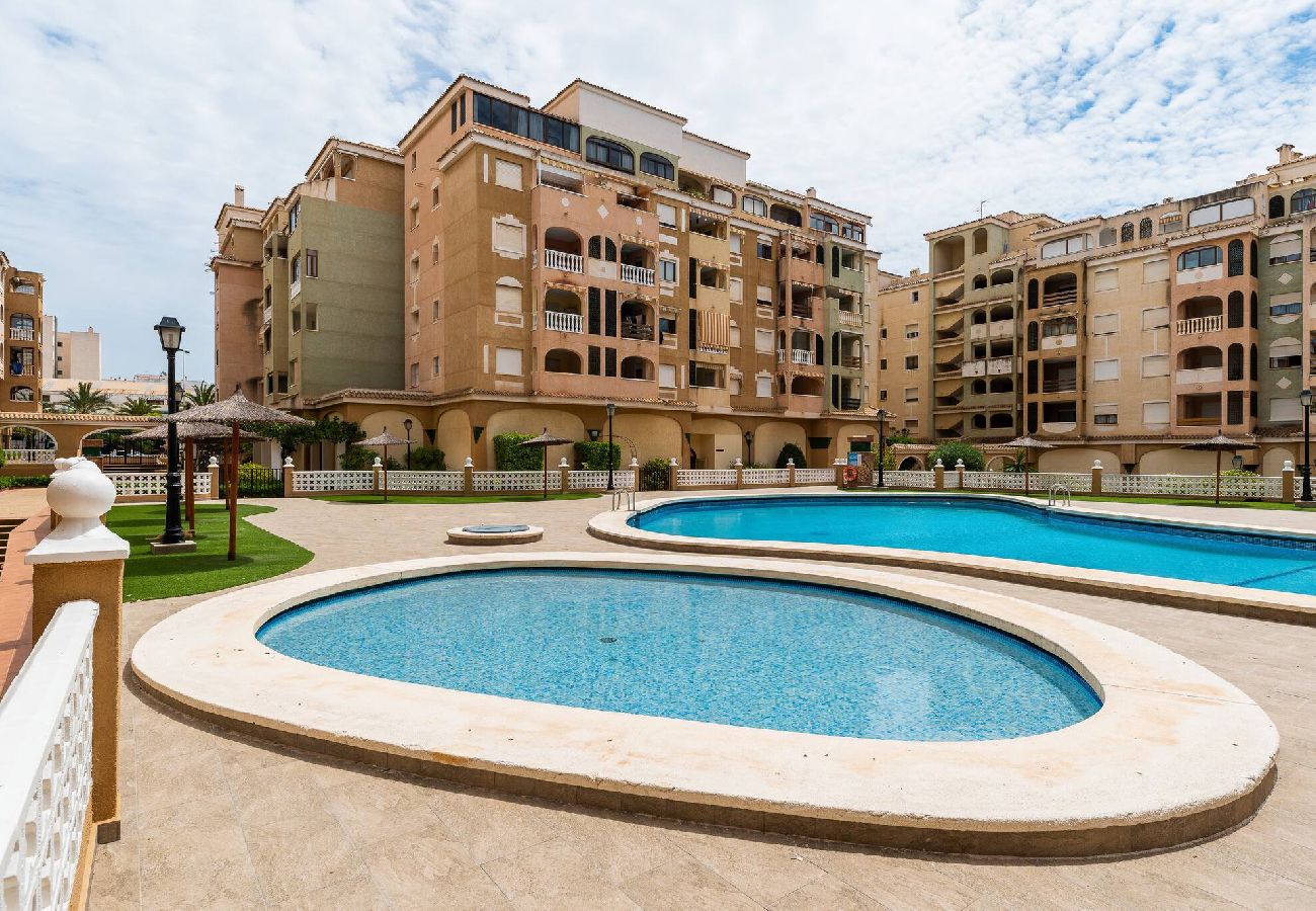 Apartment in Torrevieja - Jardín Botánico