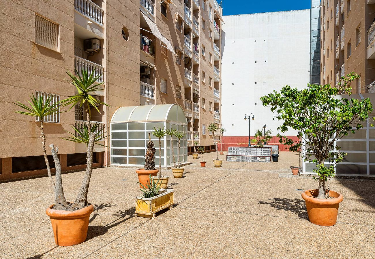 Apartment in Torrevieja - Panorama 2