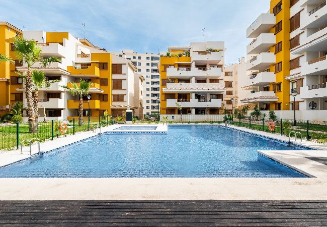 Apartment in Torrevieja - Tornado Apartamento