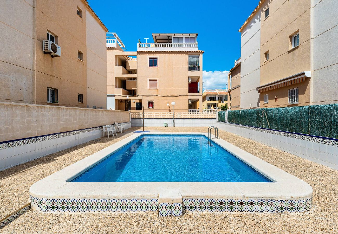 Apartment in Torrevieja - 🅃 Casa del Chicho