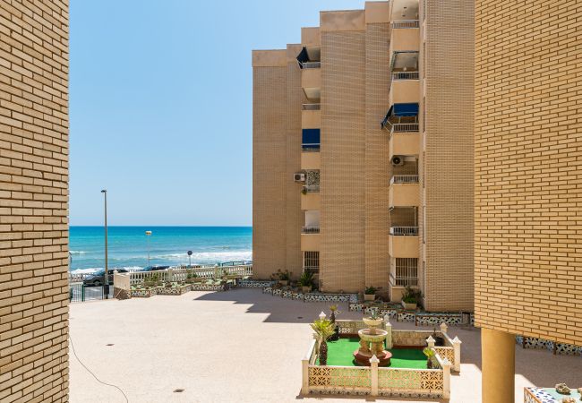 Apartment in Torrevieja - Coloso Sunrise