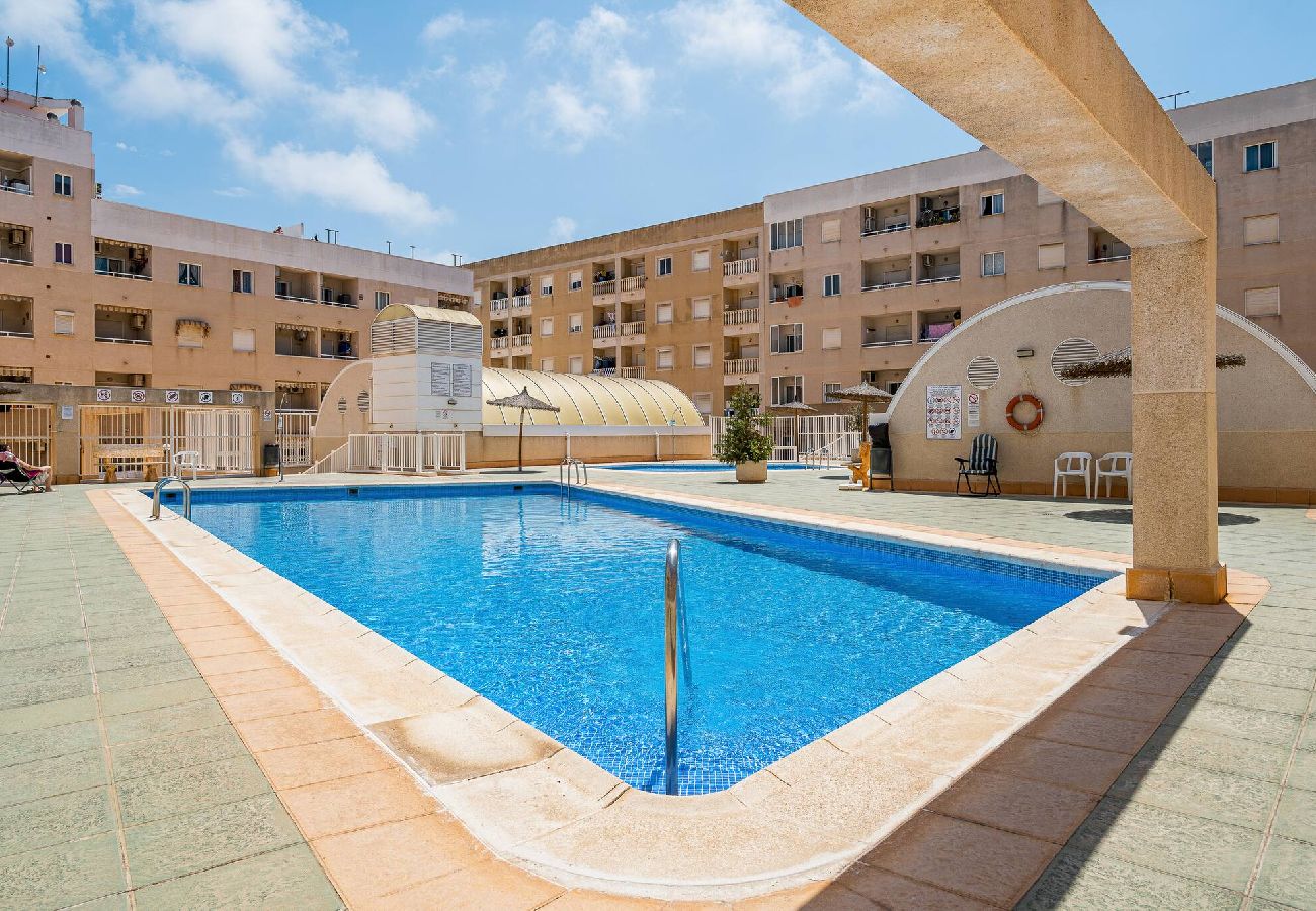 Apartment in Torrevieja - Rambla 115