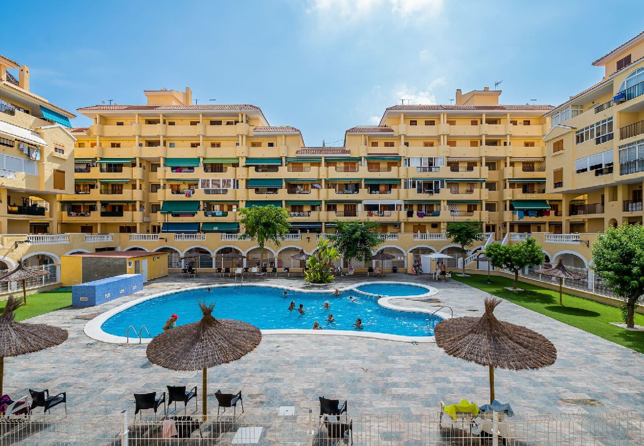 Apartment in La Mata - 🅃 La Mata Oasis Sunrise