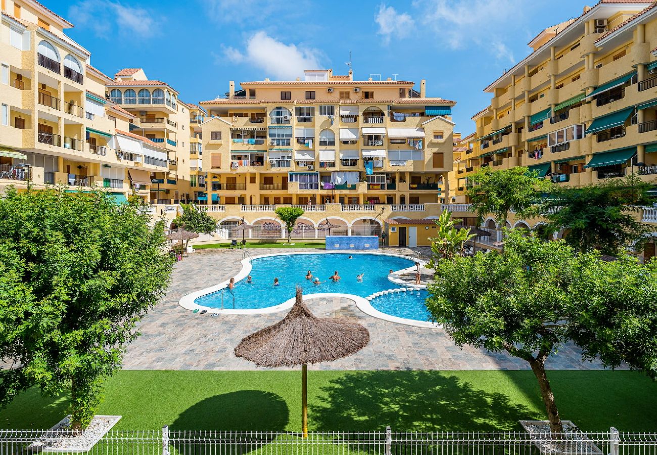 Apartment in La Mata - 🅃 La Mata Oasis Sunrise