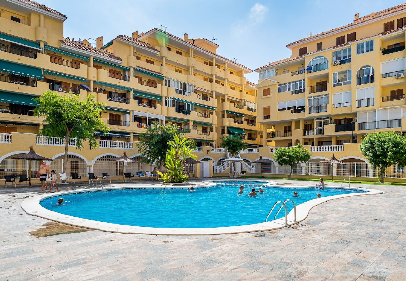 Apartment in La Mata - 🅃 La Mata Oasis Sunrise