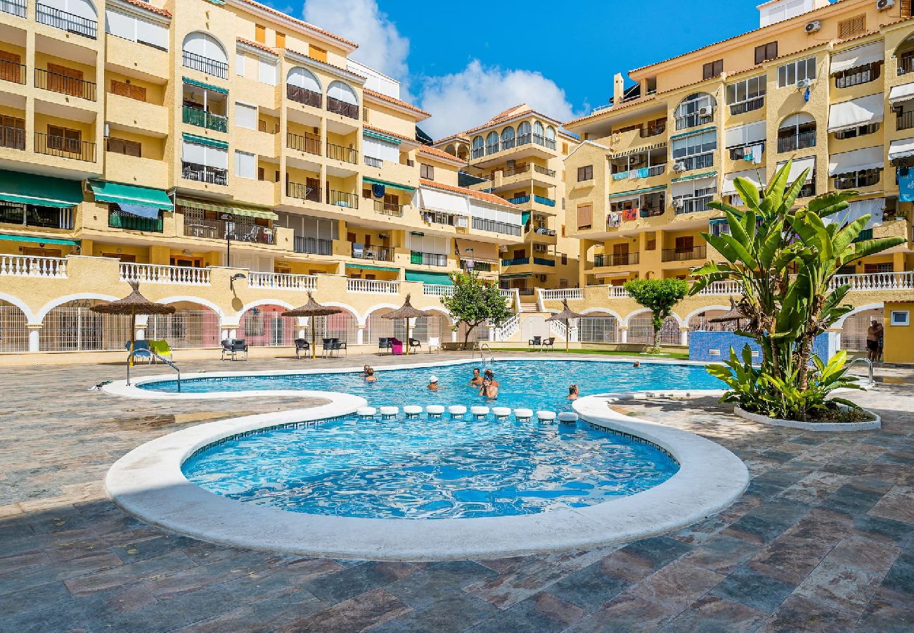 Apartment in La Mata - 🅃 La Mata Oasis Sunrise