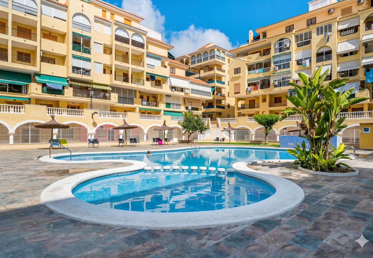 Apartment in La Mata - 🅃 La Mata Oasis Sunrise