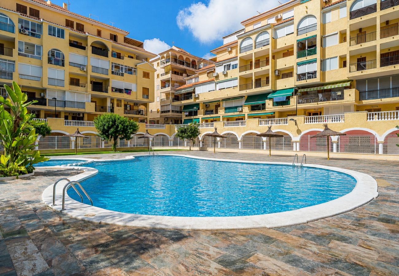 Apartment in La Mata - 🅃 La Mata Oasis Sunrise