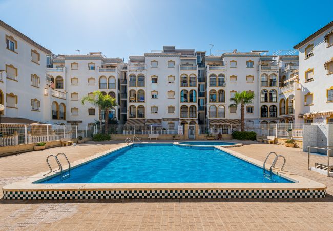 Apartment in Torrevieja - 🅃 Molino Blanco D