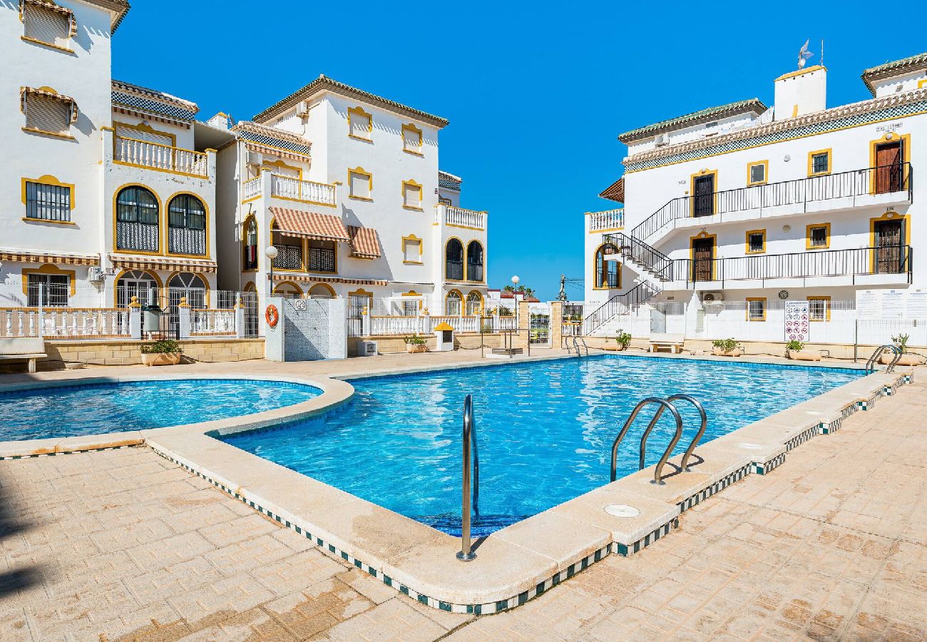 Apartment in Torrevieja - 🅃 Molino Blanco D
