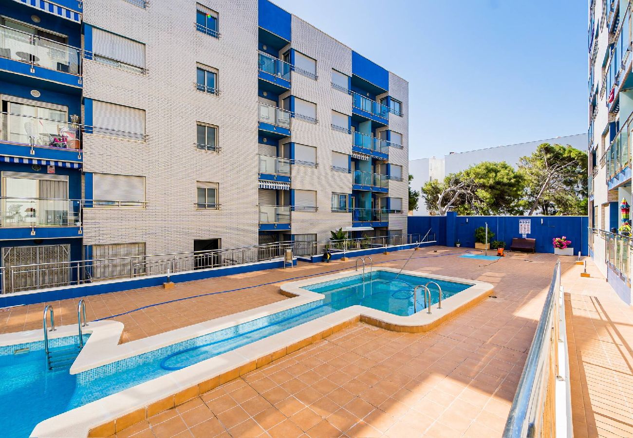 Apartment in Torrevieja - Orbiplaya 2