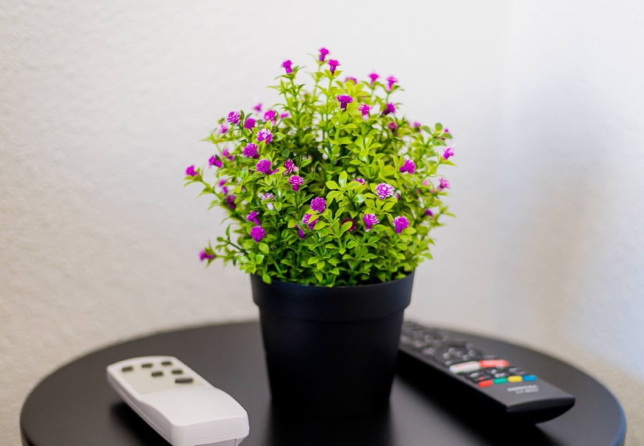 Appartement à Torrevieja - ORBIPLAYA