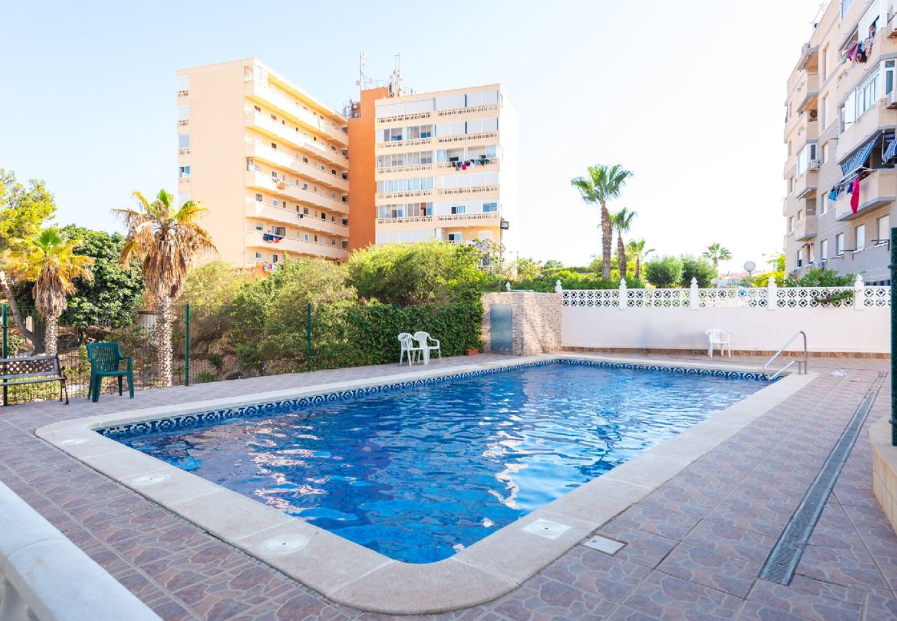 Appartement à Torrevieja - Estudio Aquiles Sunrise