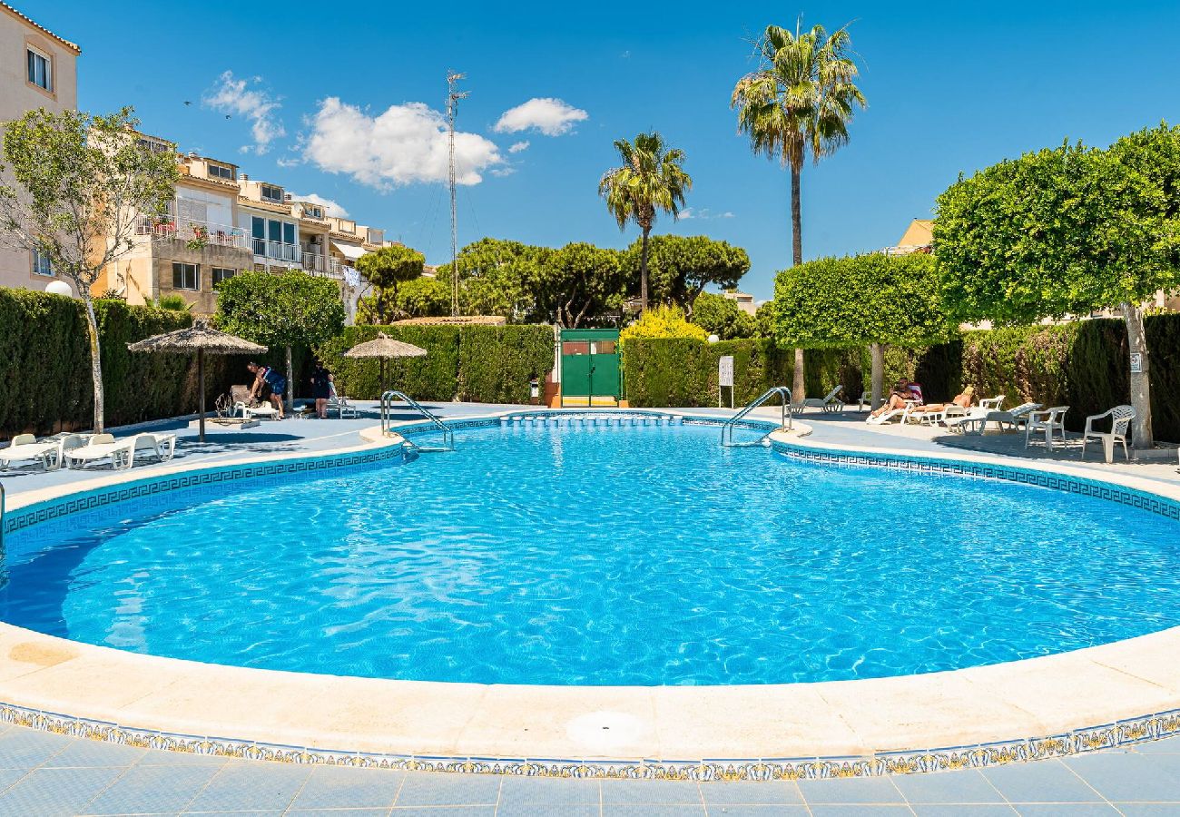 Appartement à Torrevieja - Coral Sunrise - Bungalow