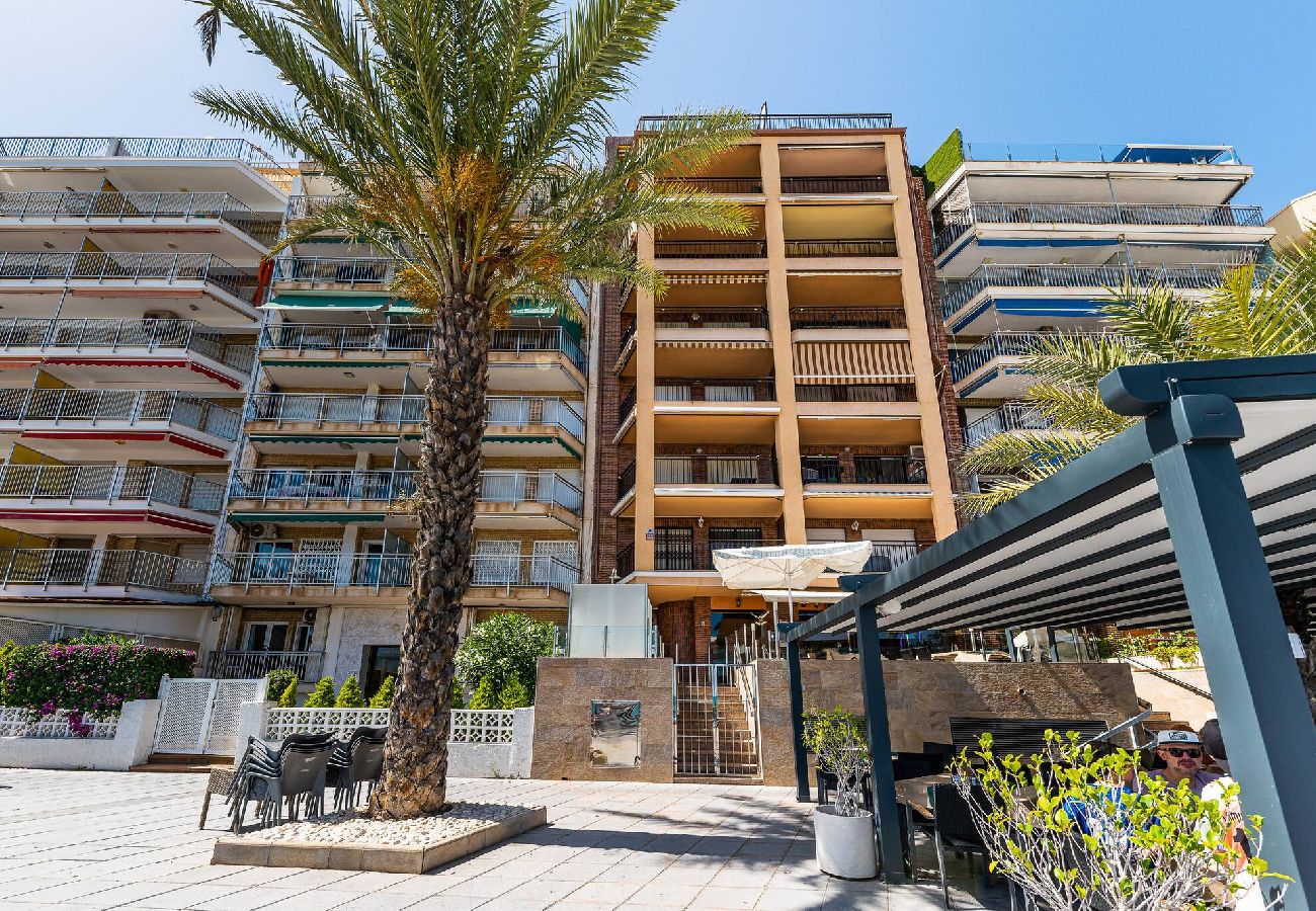 Appartement à Torrevieja - 🅃 Princesa