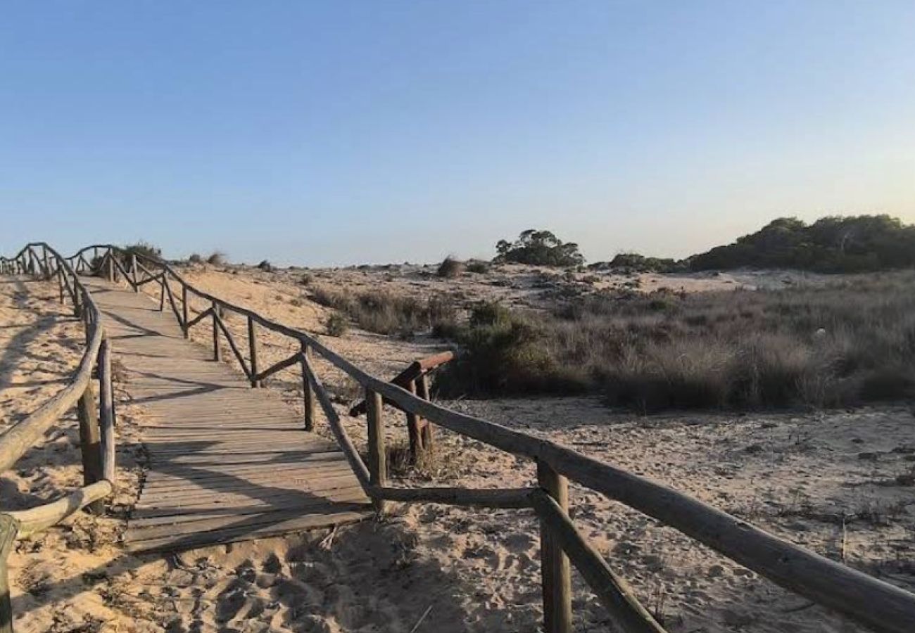 Appartement à Elche - Playa del Pinet 2