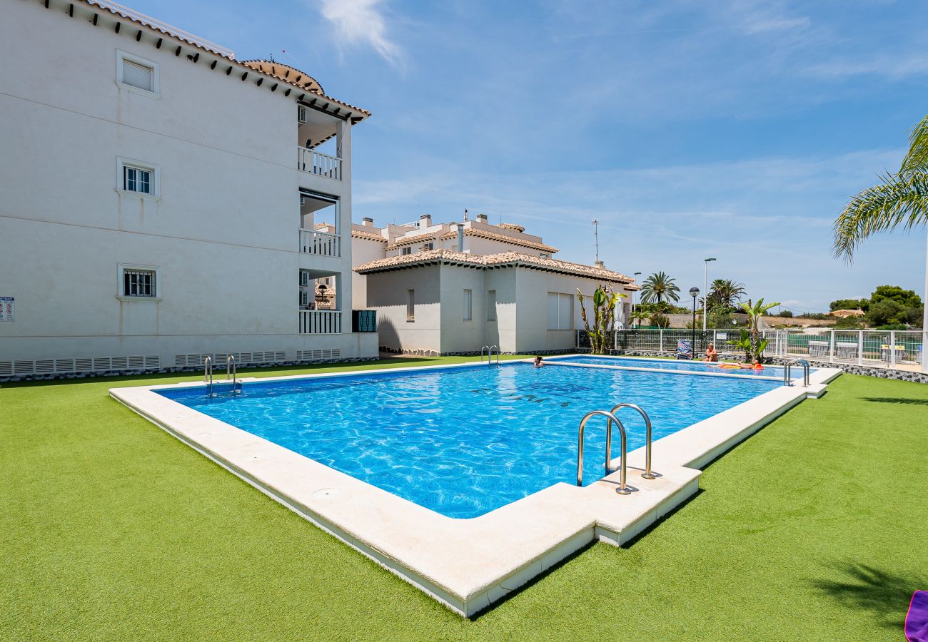Appartement à Elche - Playa del Pinet 2