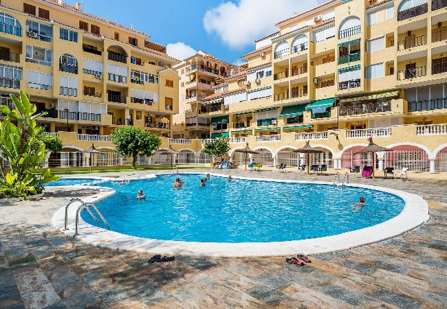 Appartement à La Mata - 🅃 La Mata Oasis Sunrise