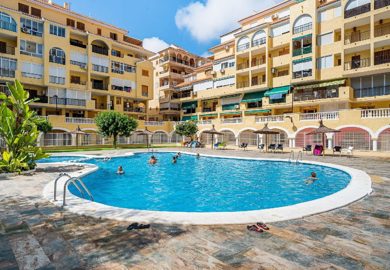 Appartement à La Mata - 🅃 La Mata Oasis Sunrise