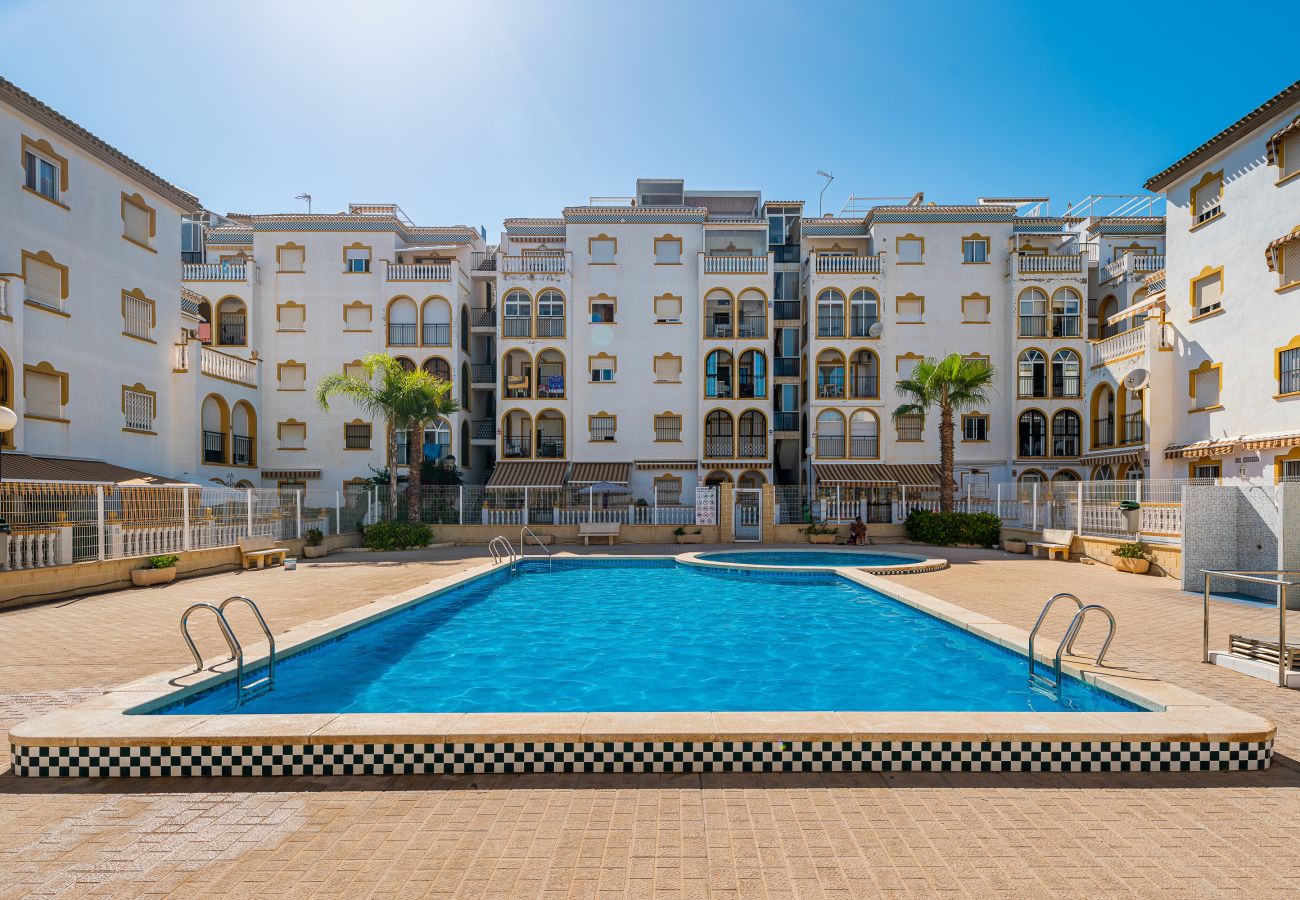 Appartement à Torrevieja - 🅃 Molino Blanco D