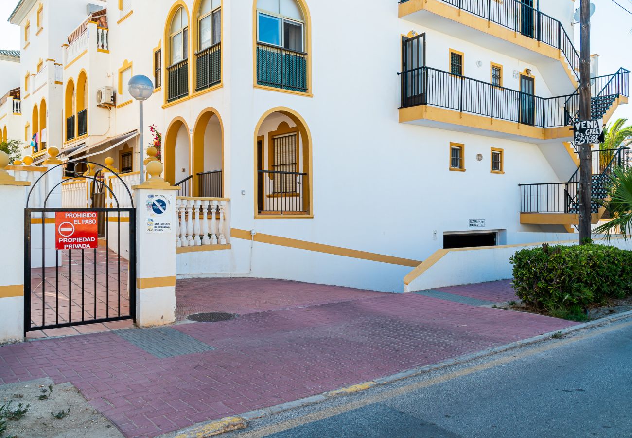 Appartement à Torrevieja - 🅃 Molino Blanco D