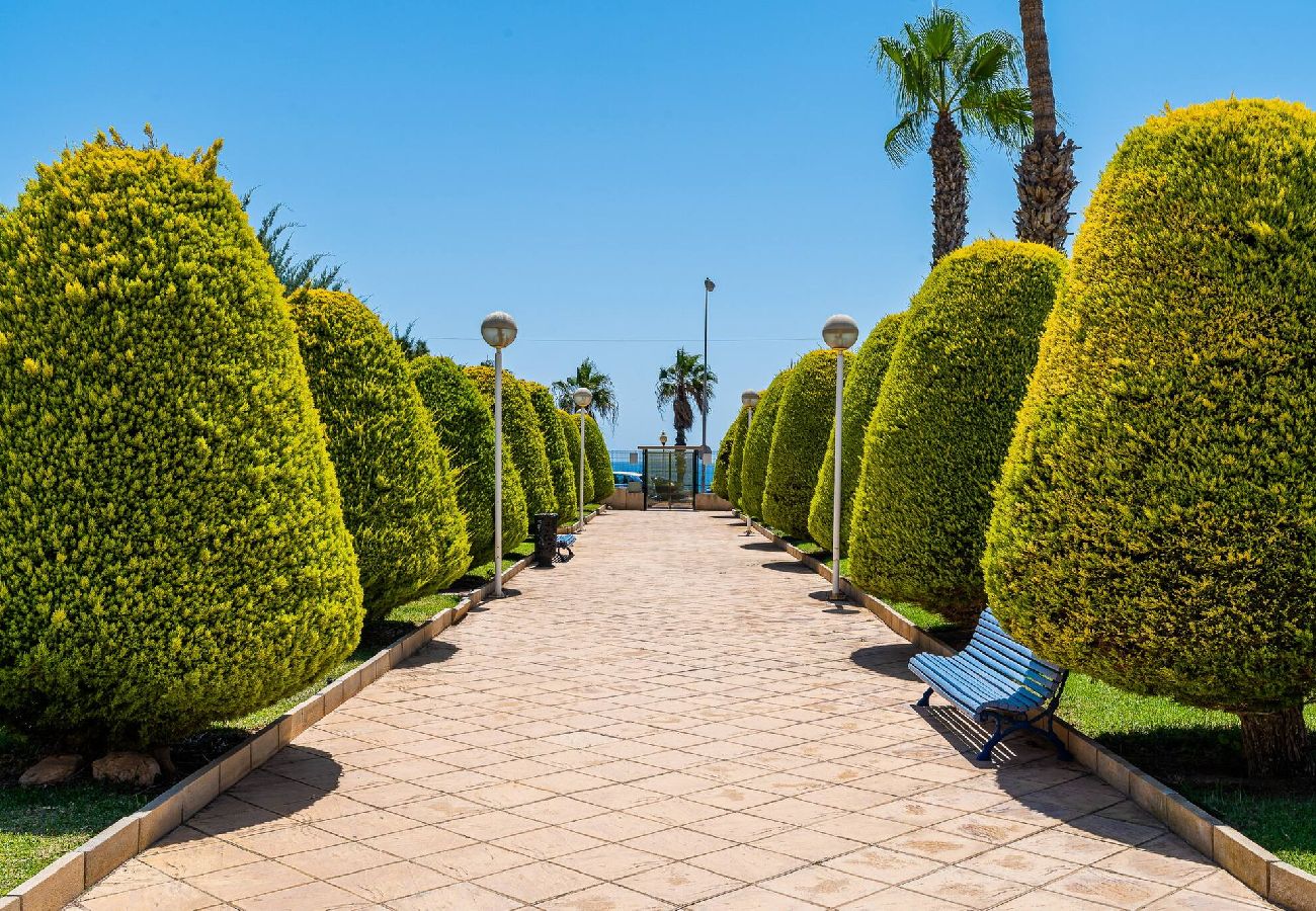 Appartement in Orihuela Costa - 🅃 Aguamarina 2 Sunrise