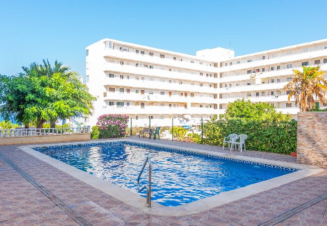 Appartement in Torrevieja - Estudio Aquiles Sunrise