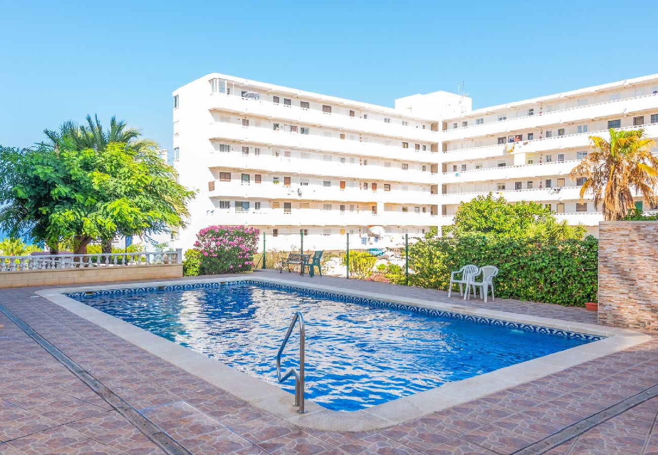 Appartement in Torrevieja - Estudio Aquiles Sunrise