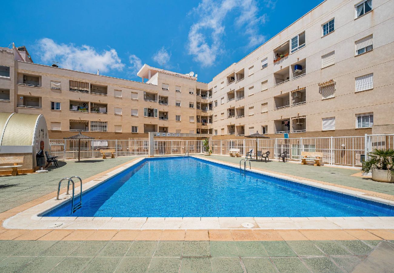 Appartement in Torrevieja - Rambla 115