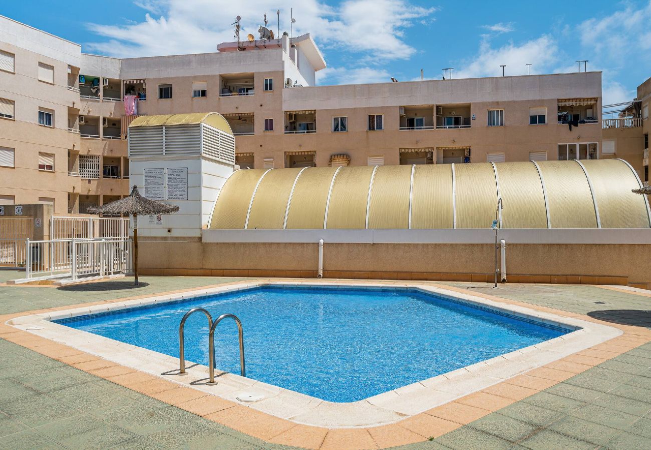 Appartement in Torrevieja - Rambla 115