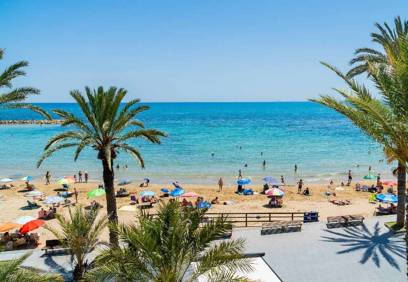 Appartement in Torrevieja - 🅃 Princesa