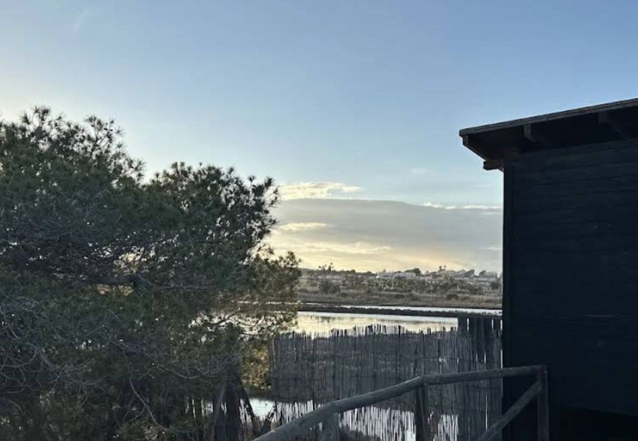 Appartement in Elche - Playa del Pinet 2