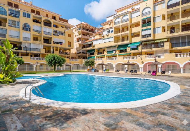 Appartement in La Mata - 🅃 La Mata Oasis Sunrise