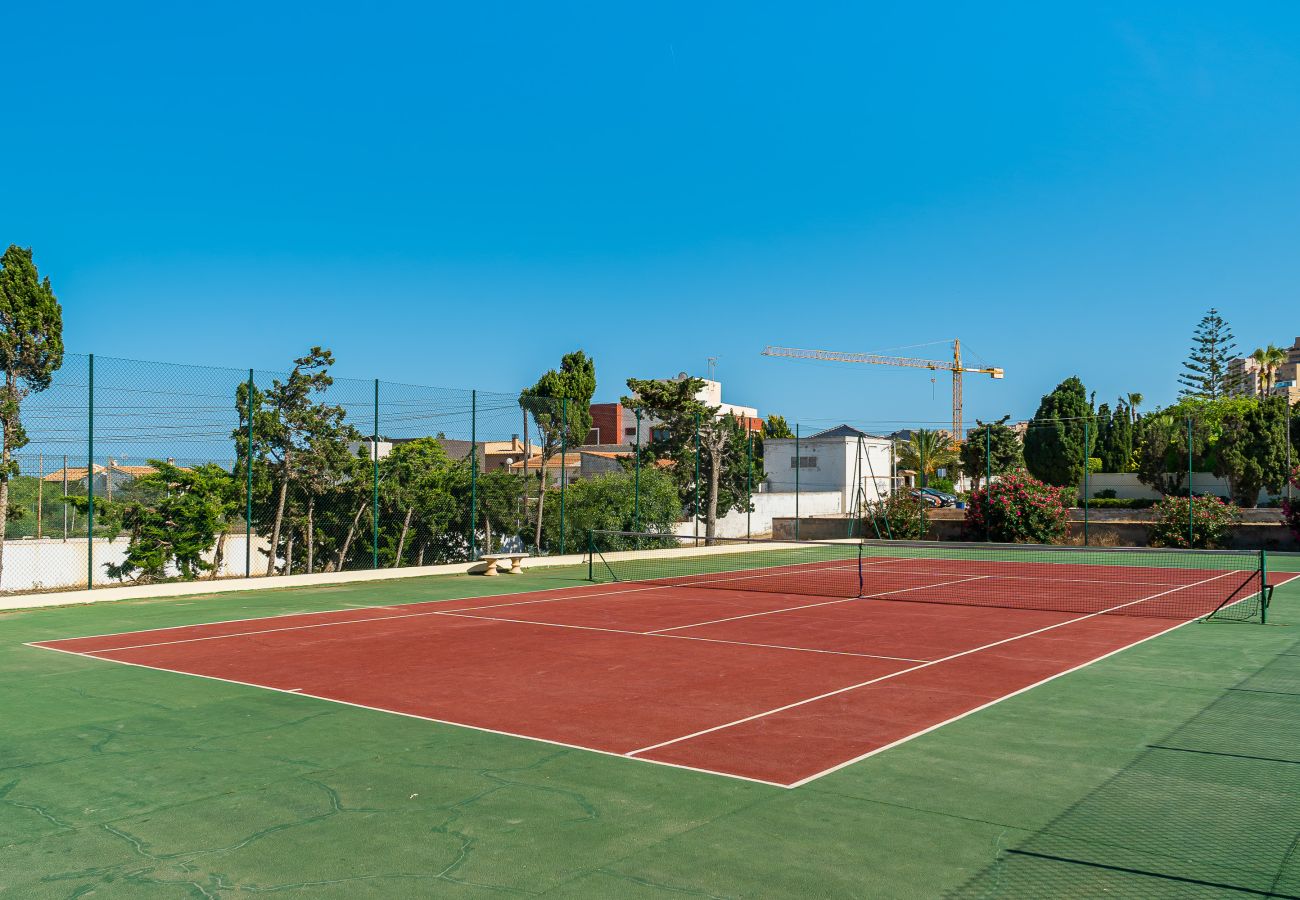 Appartement in Torrevieja - 🅃 Molino Blanco A