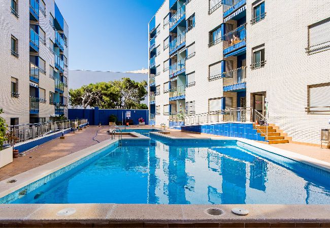 Appartement in Torrevieja - Orbiplaya 2