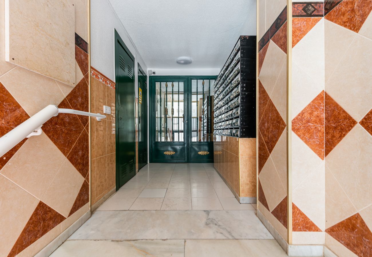 Studio in Torrevieja - 🅃 Islandia Urban Nest 11