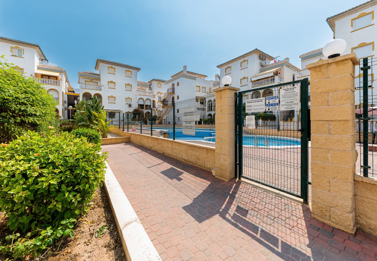 Apartament w Torrevieja - 🅃 Sunny Molino Retreat with Pool & Terrace