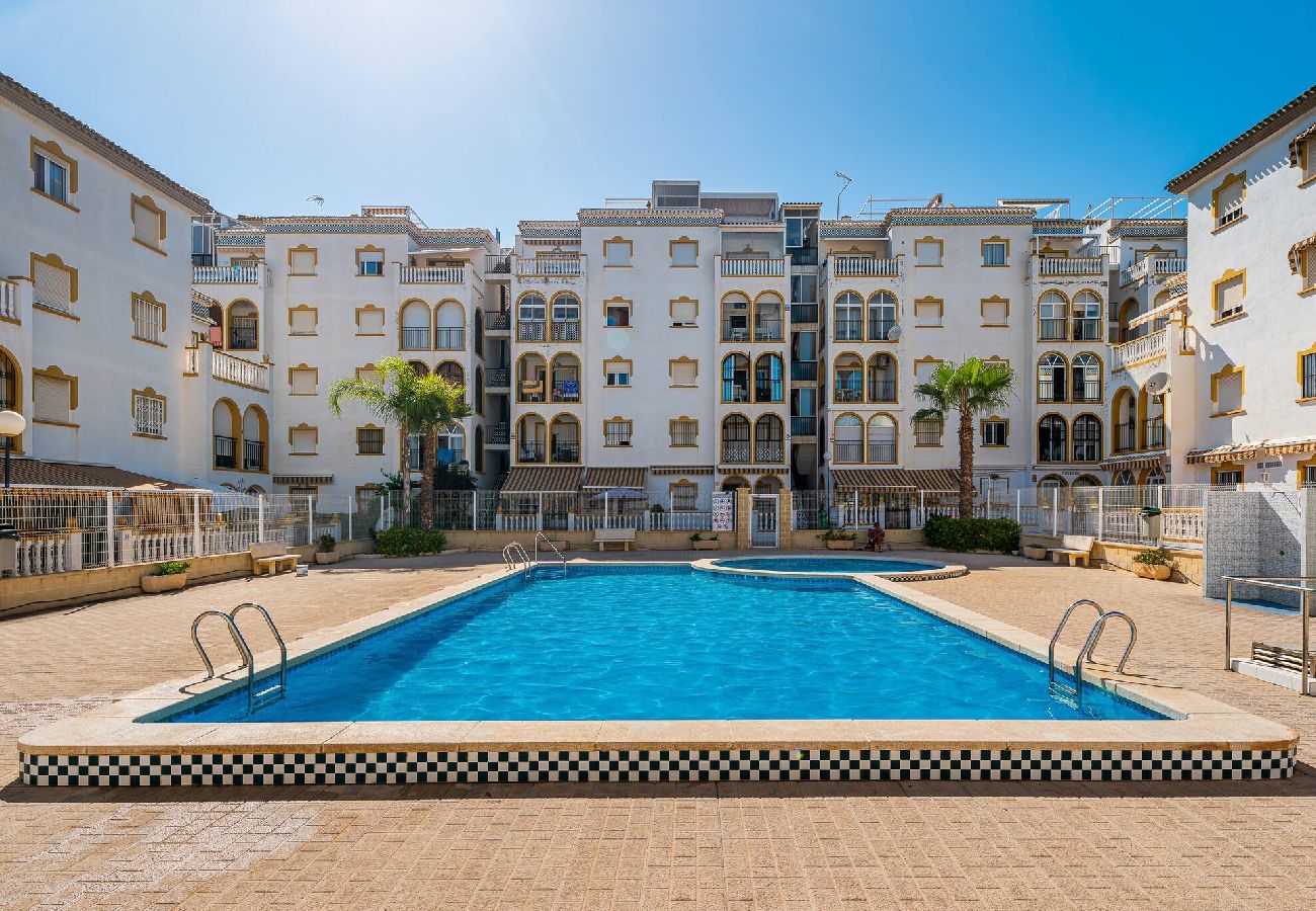 Apartament w Torrevieja - 🅃 Molino Blanco D