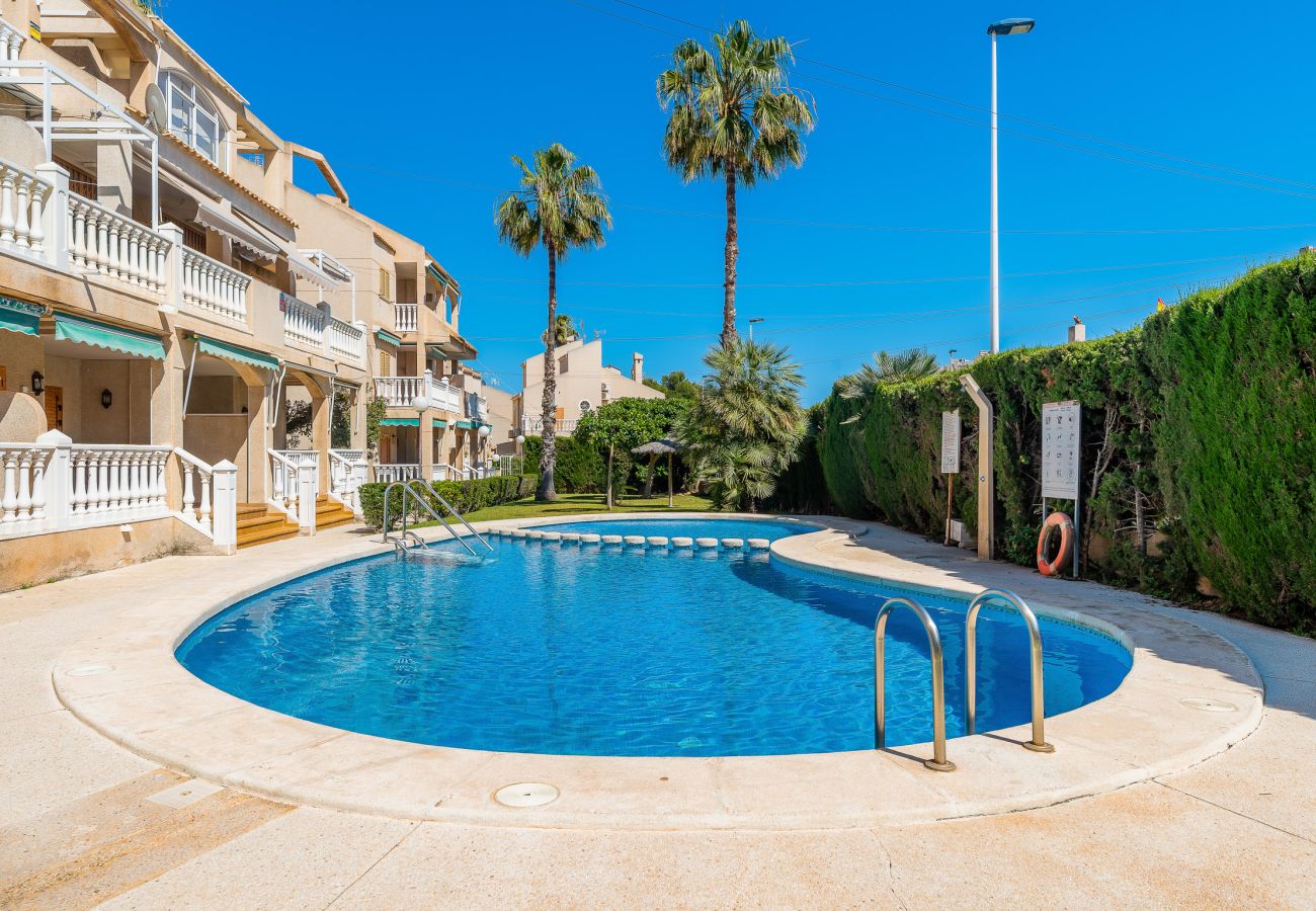 Apartament w Torrevieja - Gandhi Sunrise
