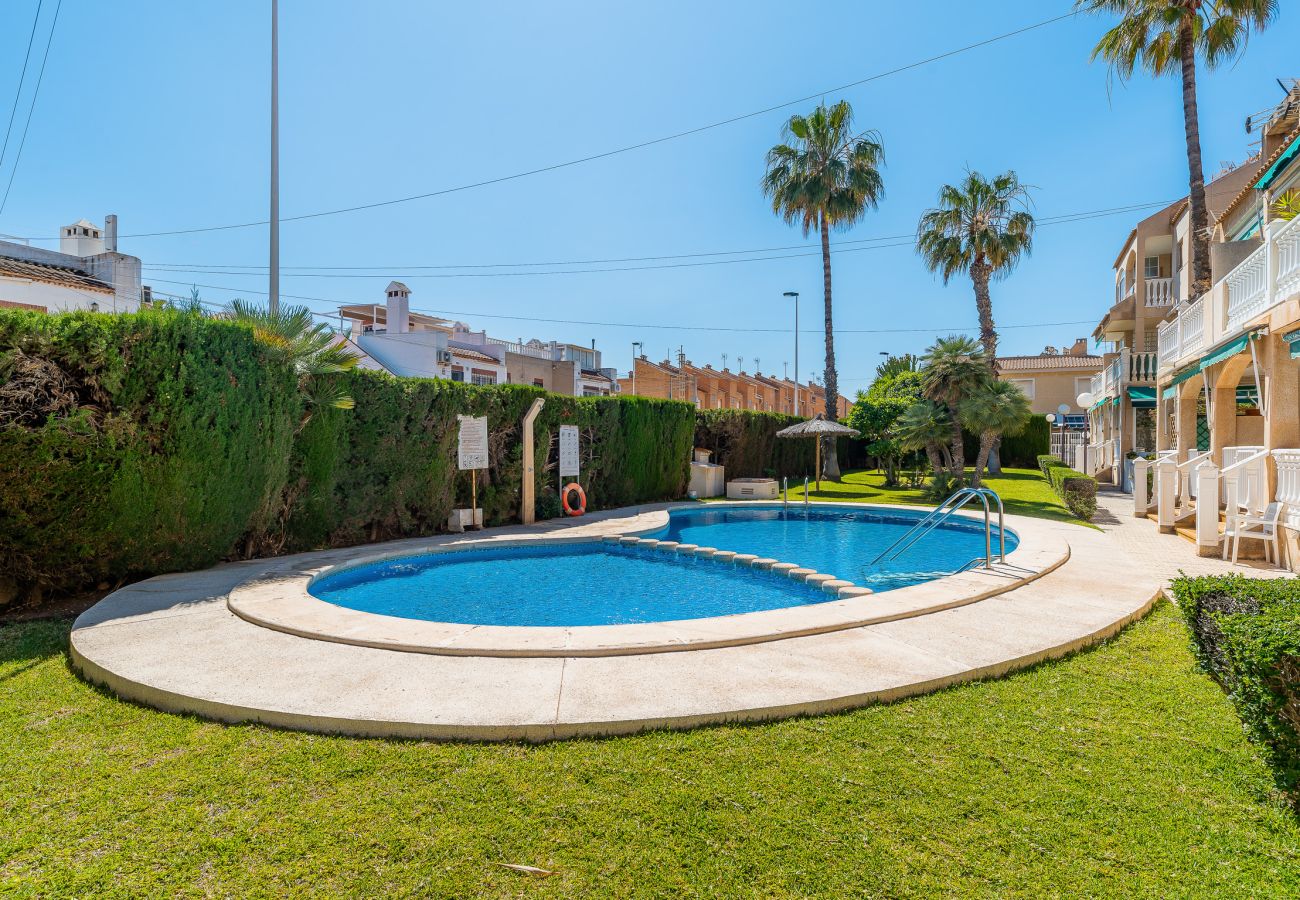 Apartament w Torrevieja - Gandhi Sunrise