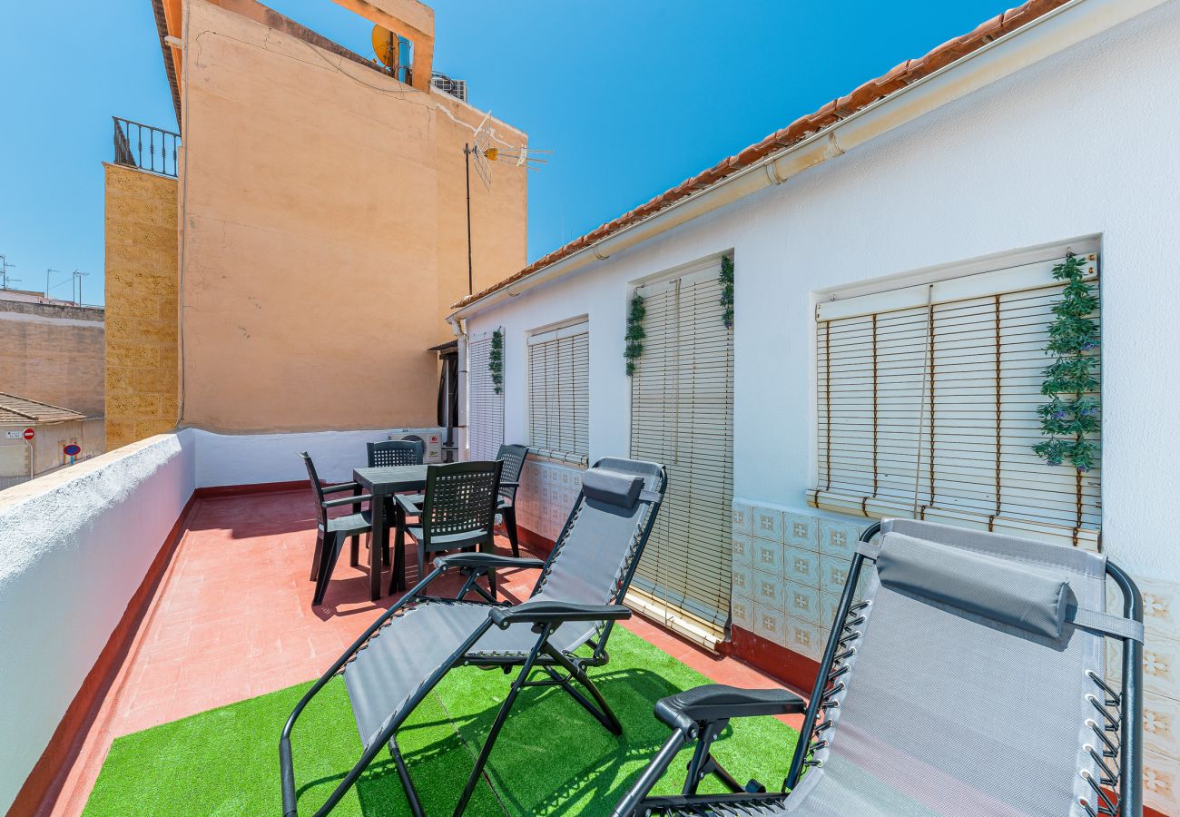 Studio w Torrevieja - La Casica